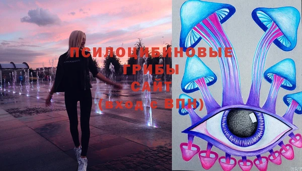 СК Аркадак