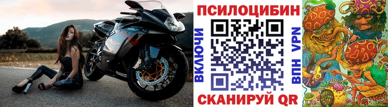 Псилоцибиновые грибы прущие грибы  blacksprut вход  Кулебаки  цена  
